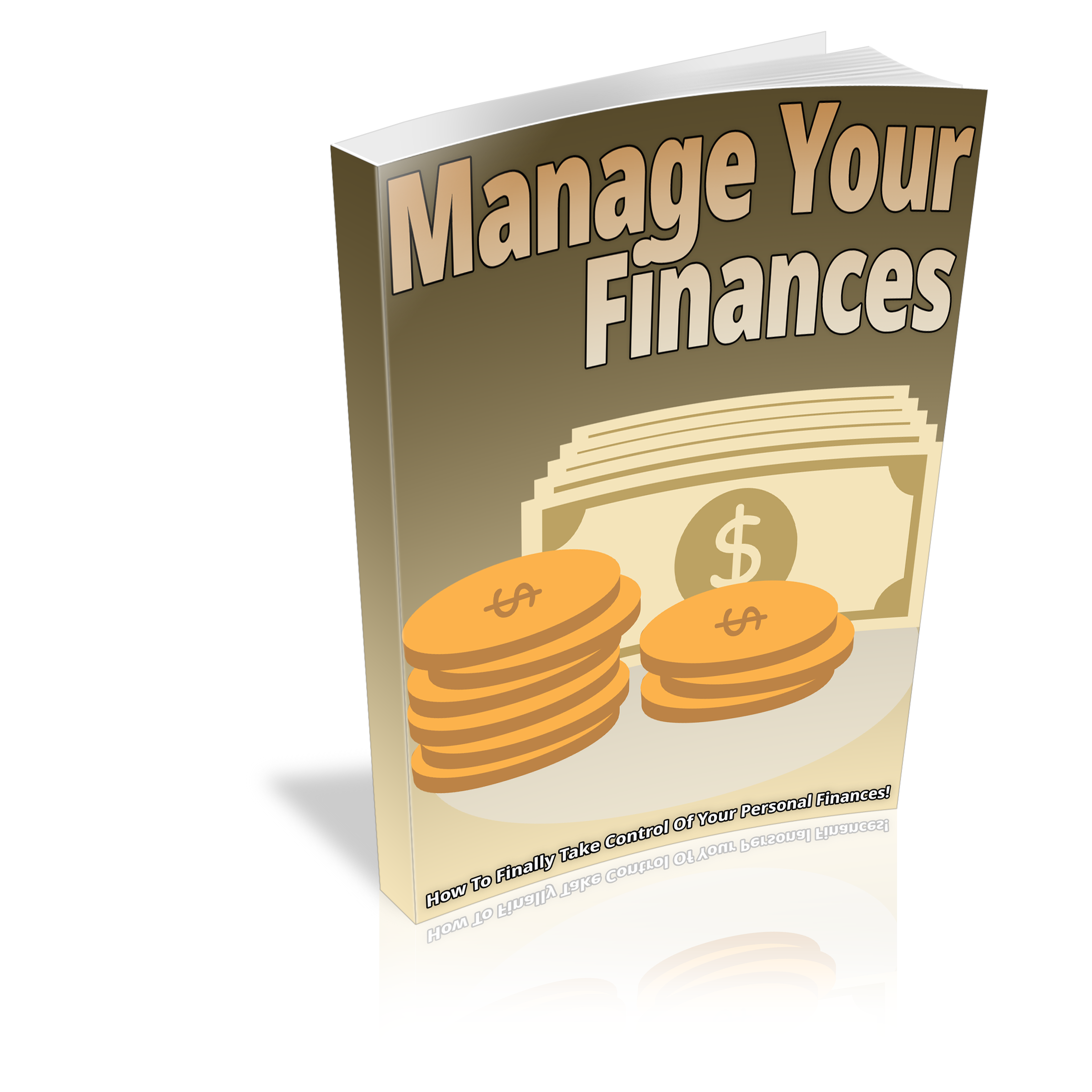 Manage Your Finances - PLR – Master Resale Rights & Private Label ...